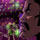 bd_icon